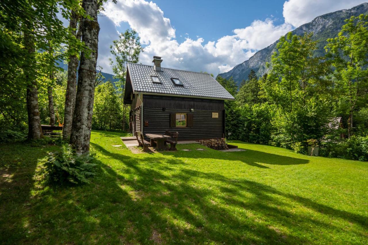 Chalet Tisa Bohinj Bagian luar foto