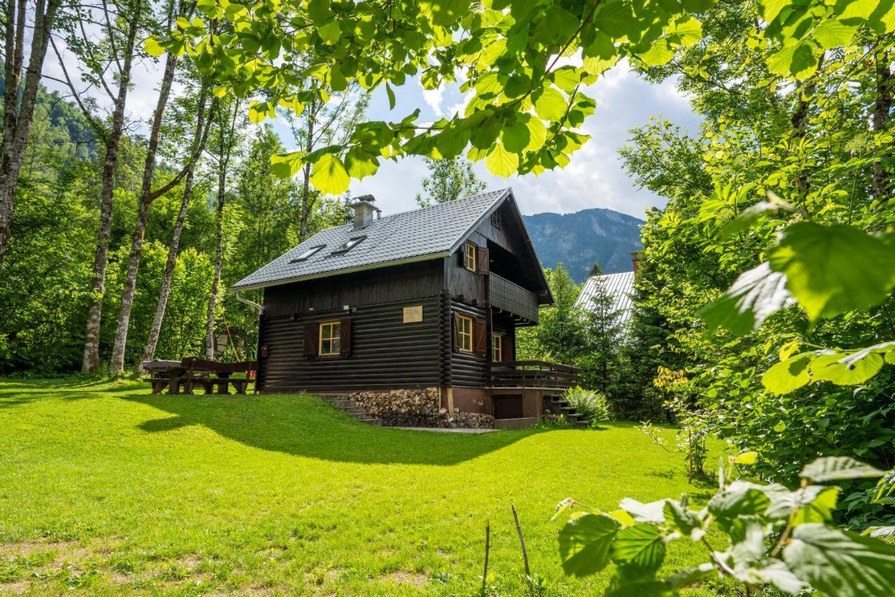Chalet Tisa Bohinj Bagian luar foto